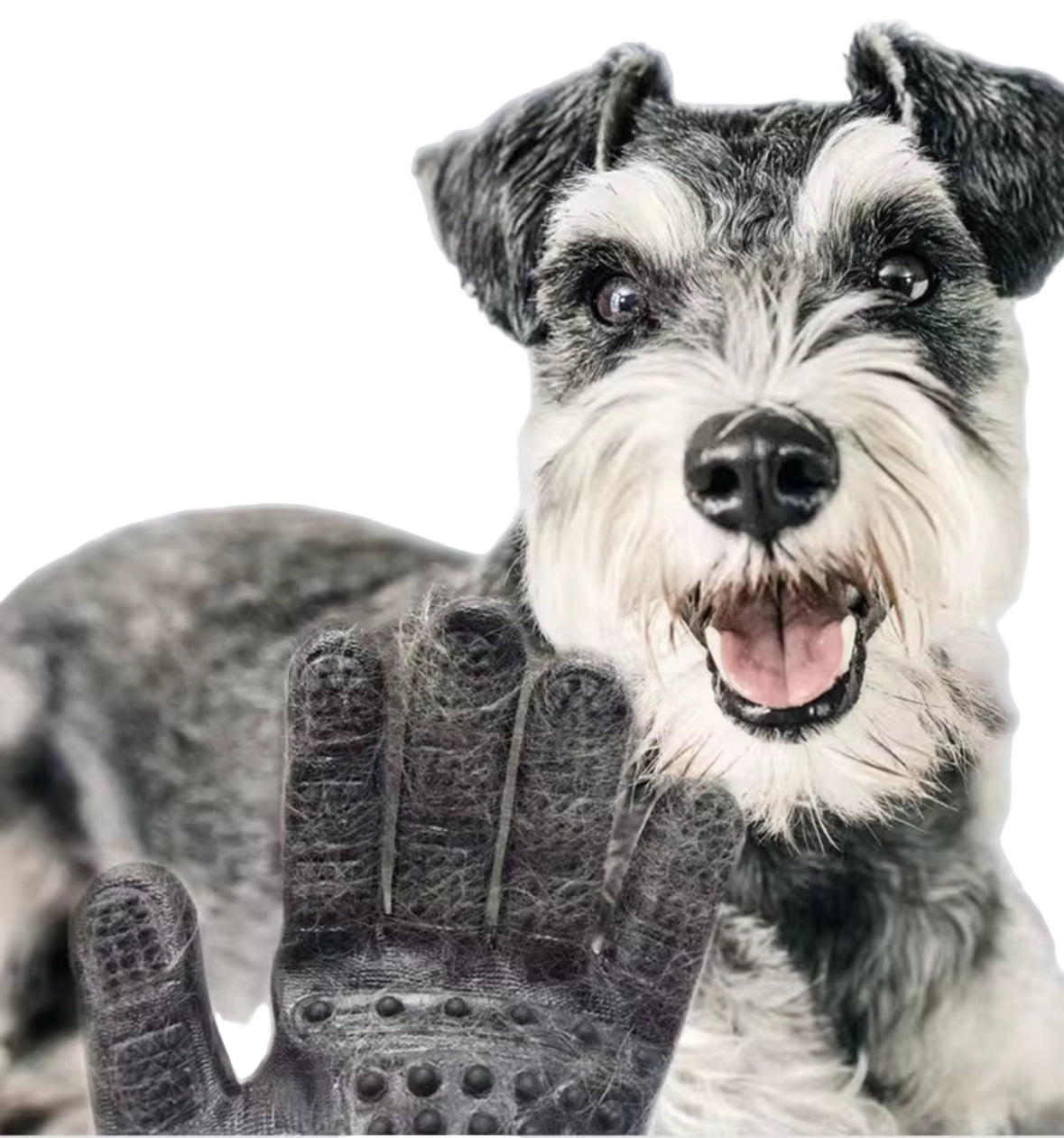 Groom, massage og vaske handsker som er virkelig gode. Fjerner hår i bilen Oma.