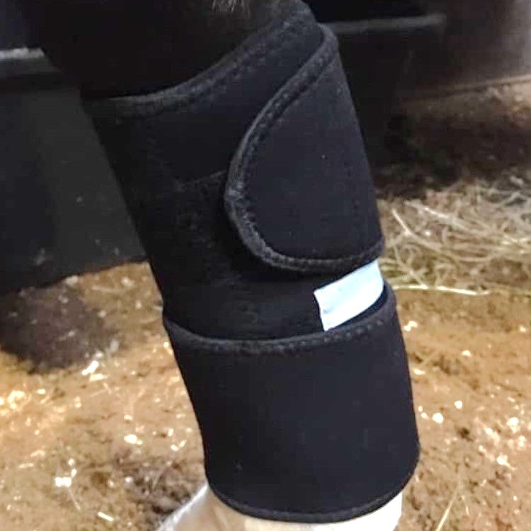 Avanceret magnetterapi til Heste.