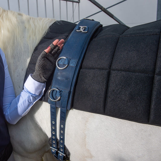 Stærk magnetterapi til din hest