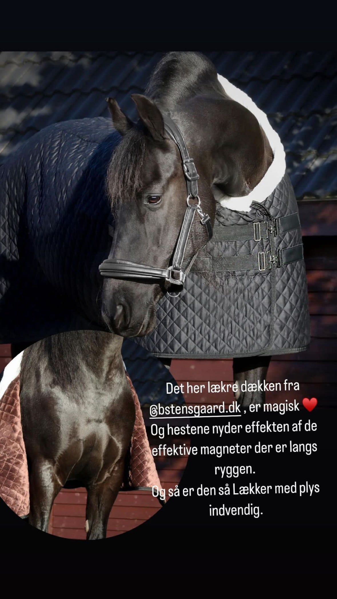 Magnetterapi dækken