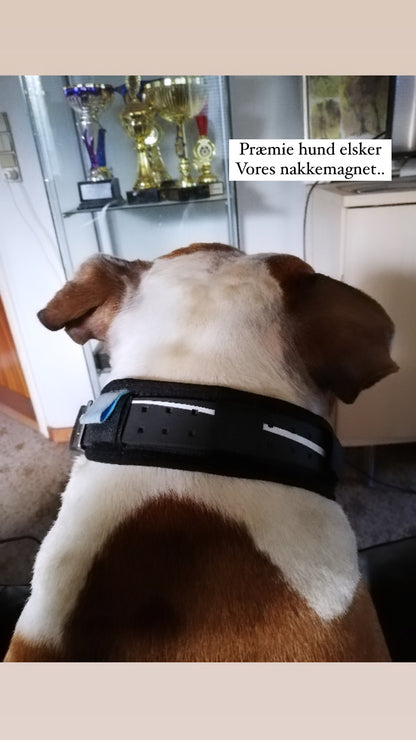 Støtte bandage med velcro.