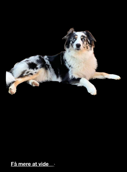 Støtte bandage med velcro.