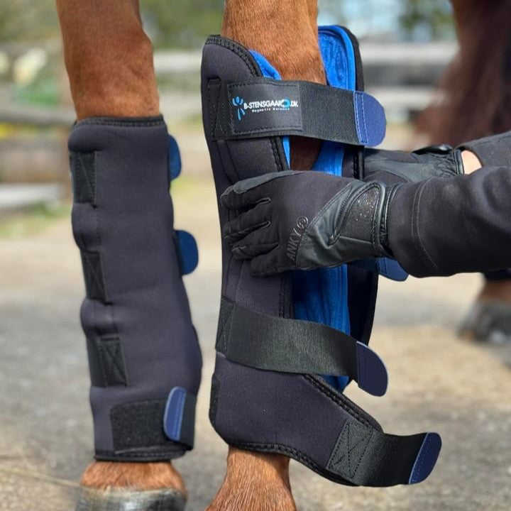 Magnetterapi staldgamache