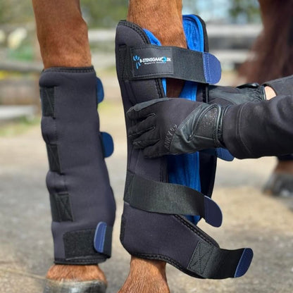 Magnetterapi staldgamache