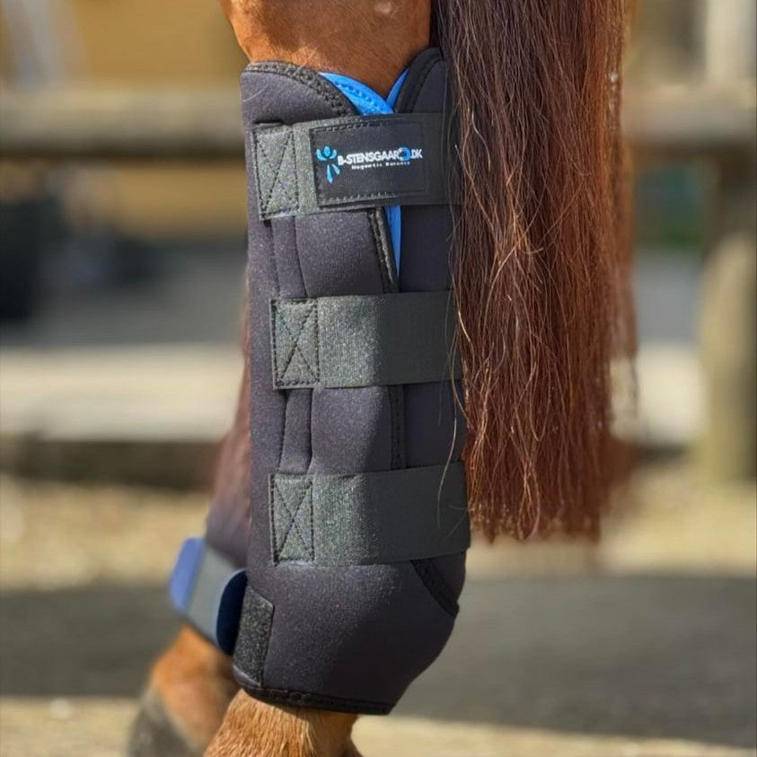 Magnetterapi staldgamache