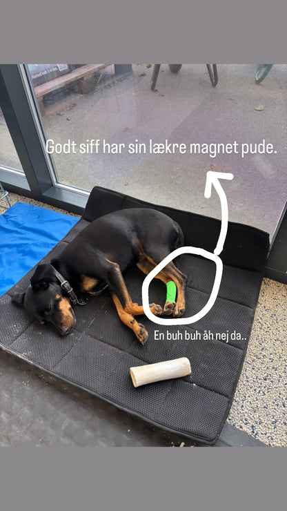 Støtte bandage med velcro.