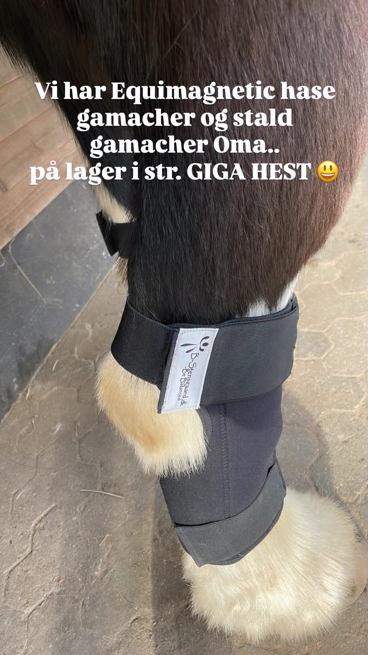 Magnetterapi hasebandage