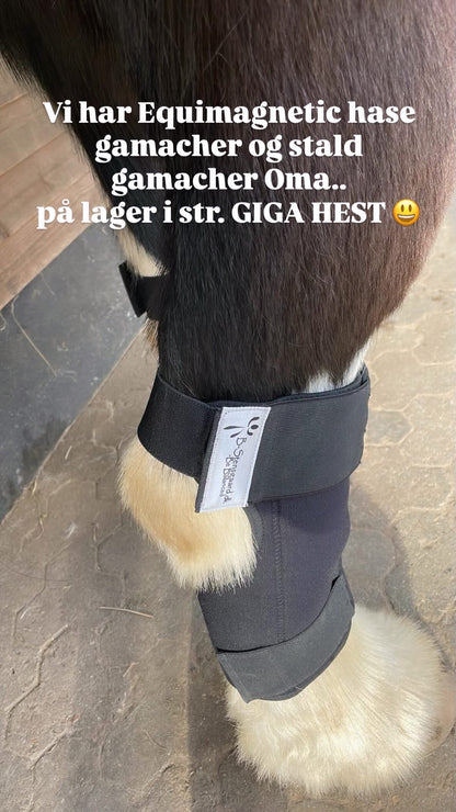 Magnetterapi hasebandage