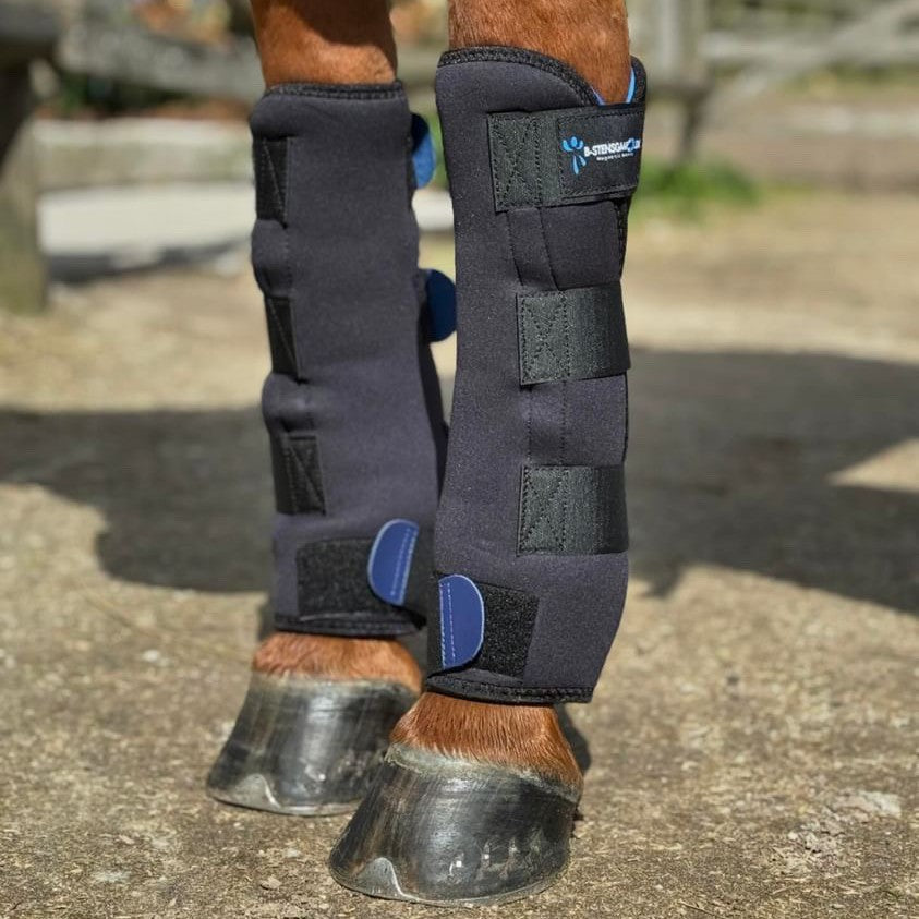 Magnetterapi staldgamache