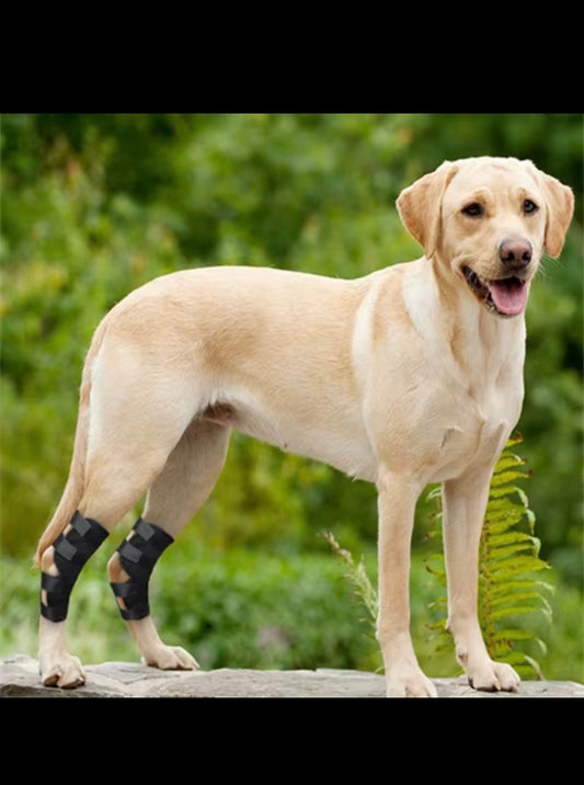 Støtte bandage med velcro.