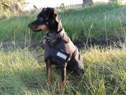 Magnetterapi halsbånd