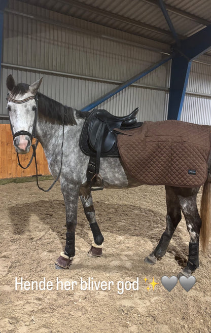 Magnetterapi lændetæppe