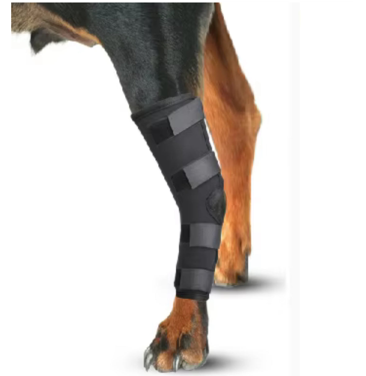 Støtte bandage med velcro.