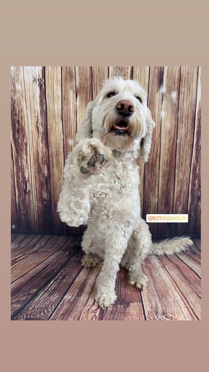 Magnetterapi halsbånd