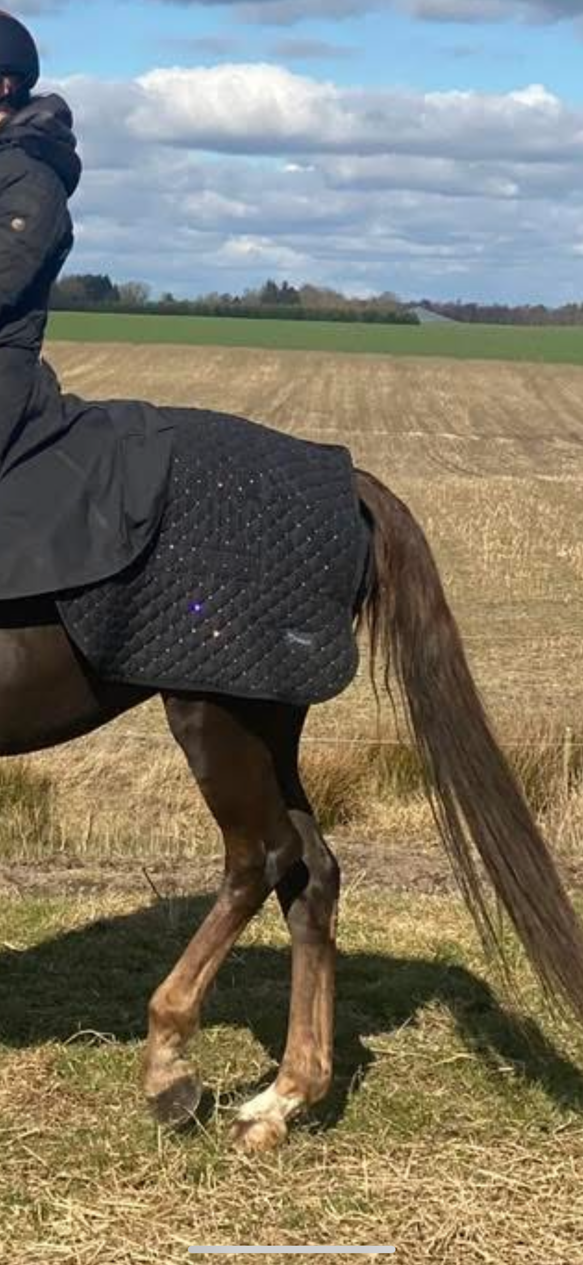 Magnetterapi lændetæppe