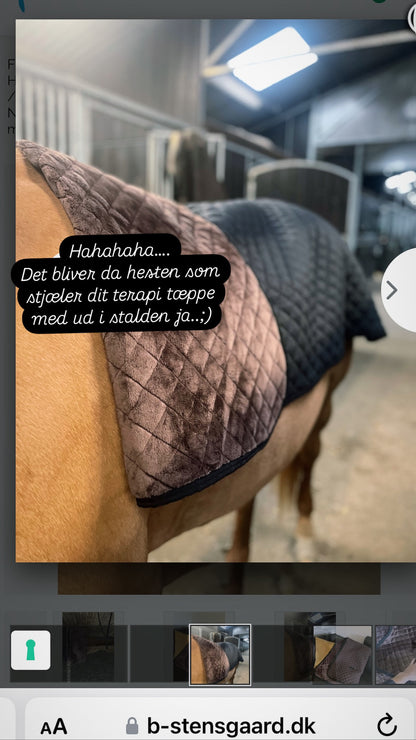 Magnetterapi Tæppe