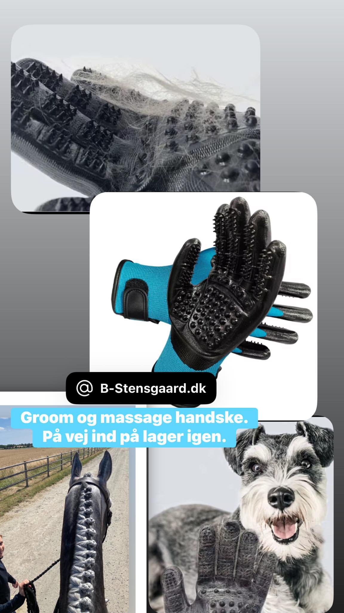 Groom, massage og vaske handsker som er virkelig gode. Fjerner hår i bilen Oma.