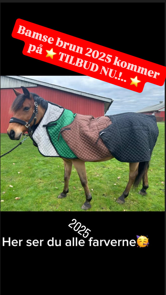 Magnetterapi lændetæppe