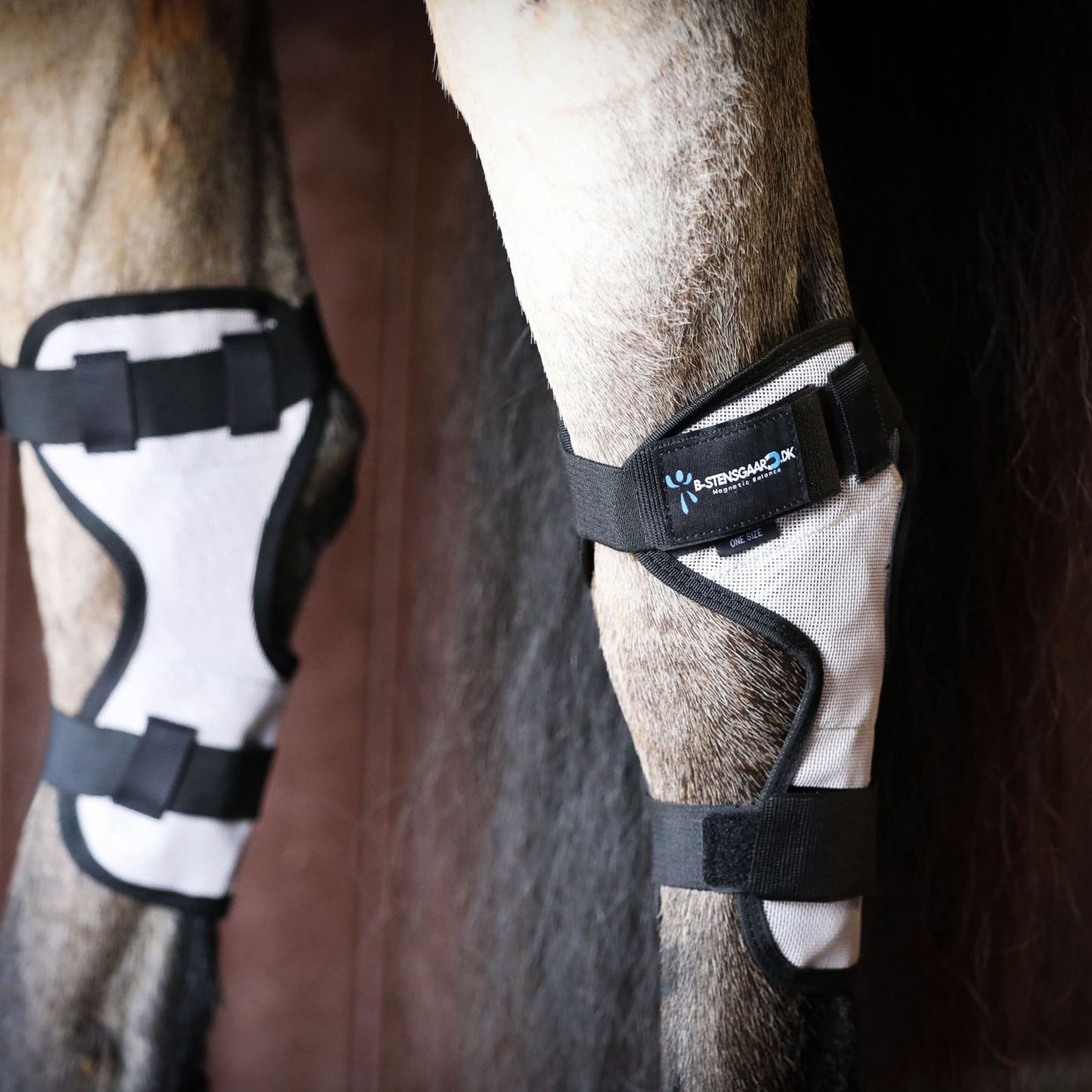 Magnetterapi hasebandage