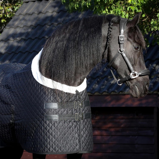 Magnetterapi dækken