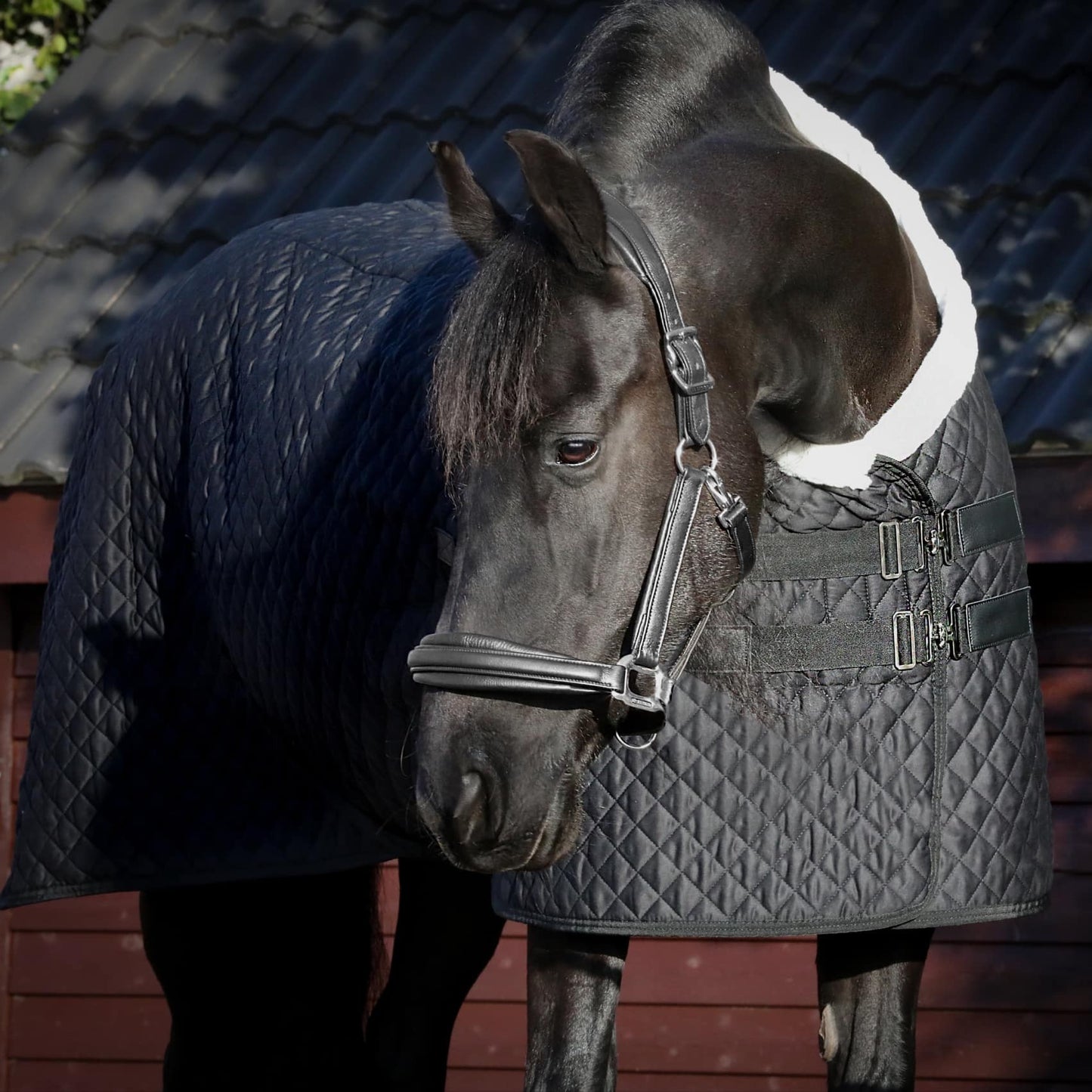 Magnetterapi dækken