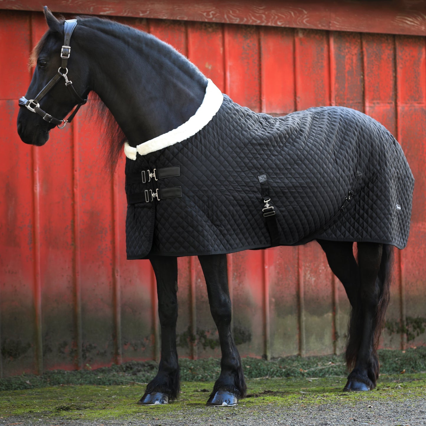 Magnetterapi dækken