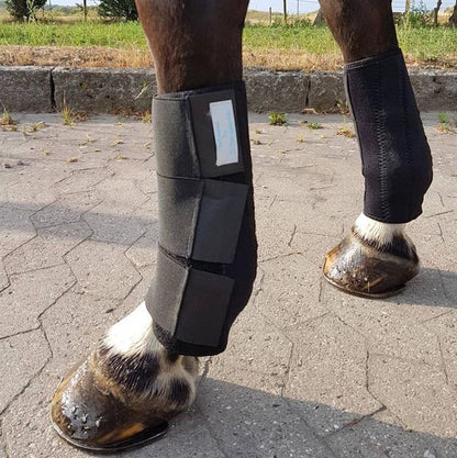 Magnetterapi gamacher