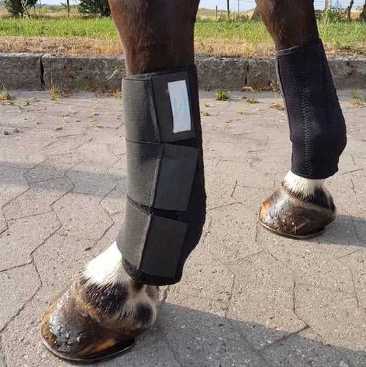 Magnetterapi gamacher