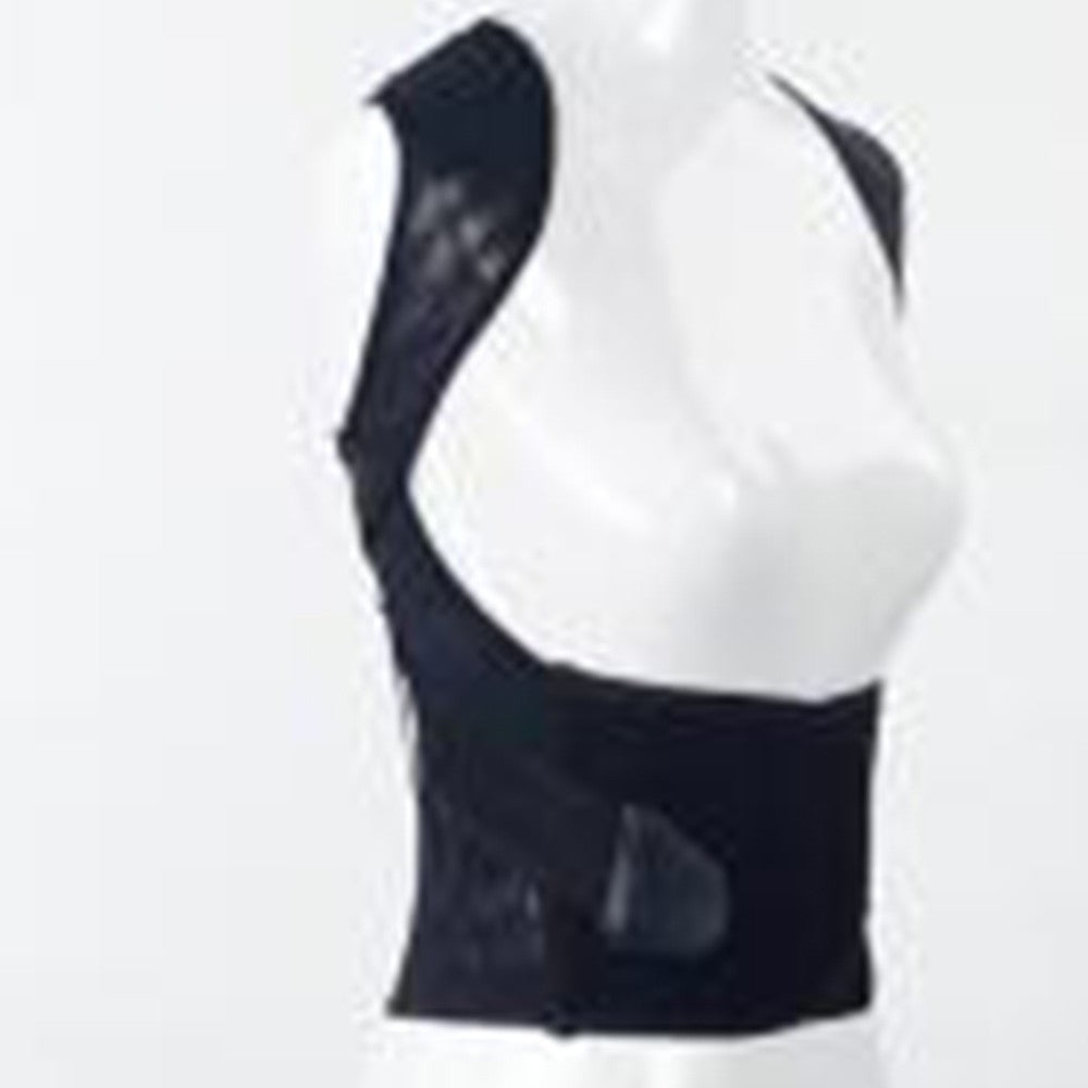Holdningsvest