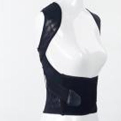 Holdningsvest