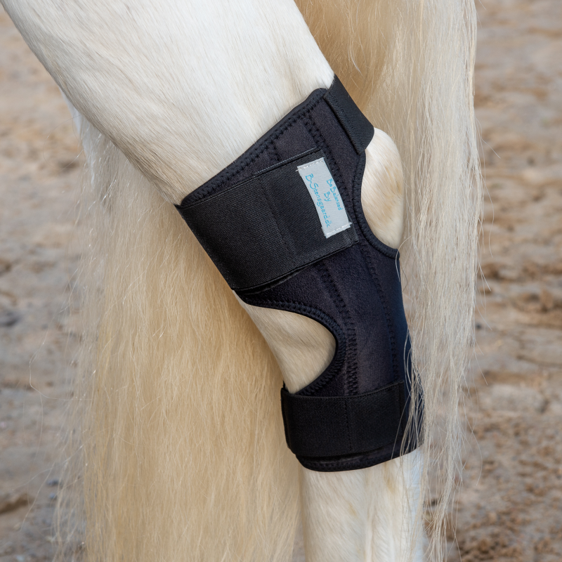 Magnetterapi hasebandage