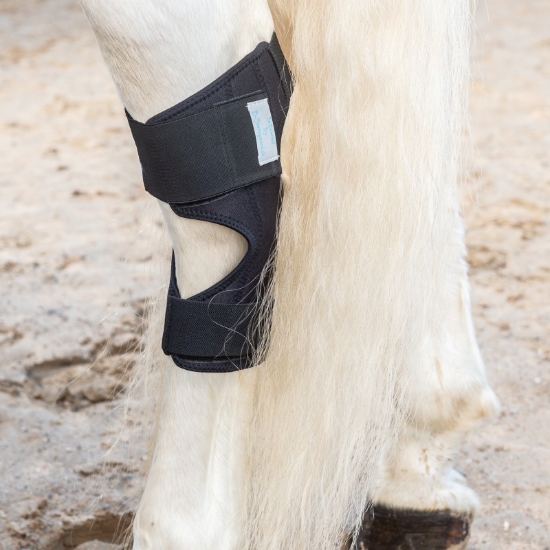 Magnetterapi hasebandage