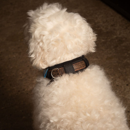 Magnetterapi halsbånd