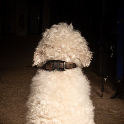 Magnetterapi halsbånd