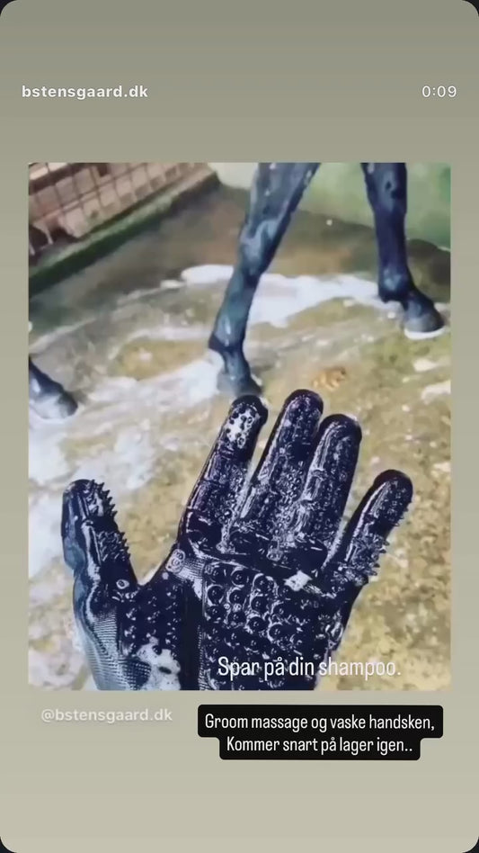 Groom, massage og vaske handsker som er virkelig gode. Fjerner hår i bilen Oma.