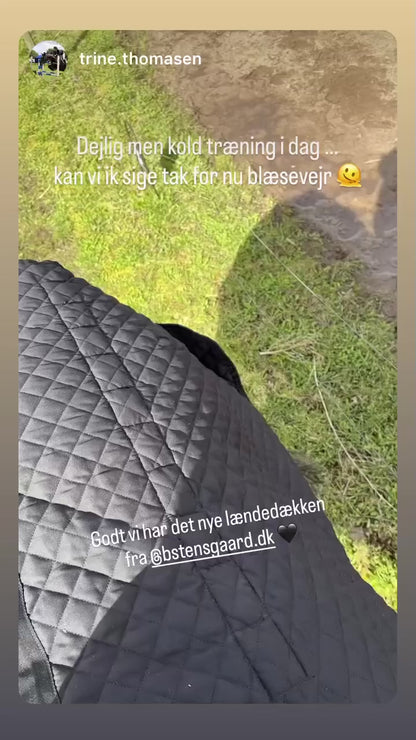 Magnetterapi lændetæppe
